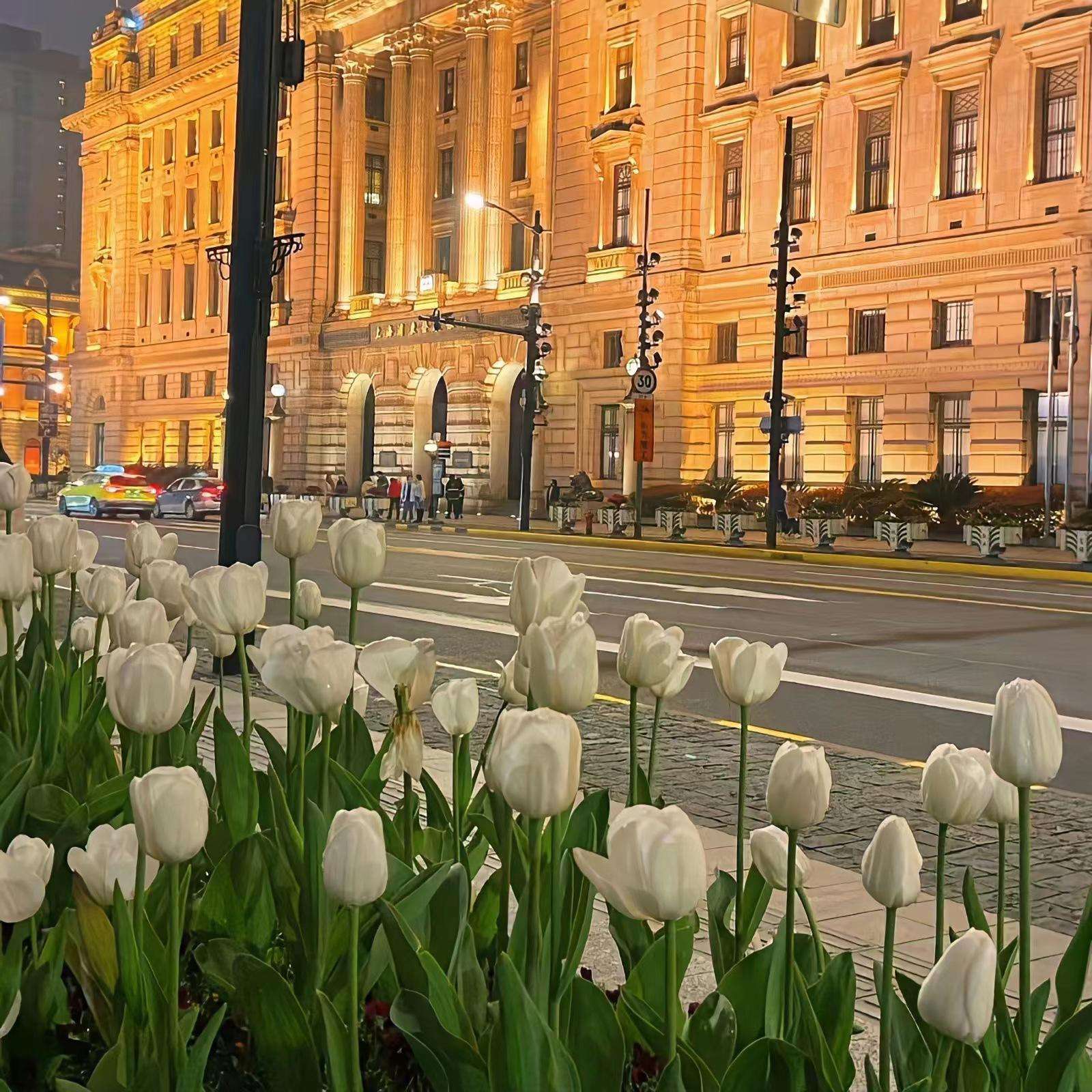 有哪些文艺爆炸的句子